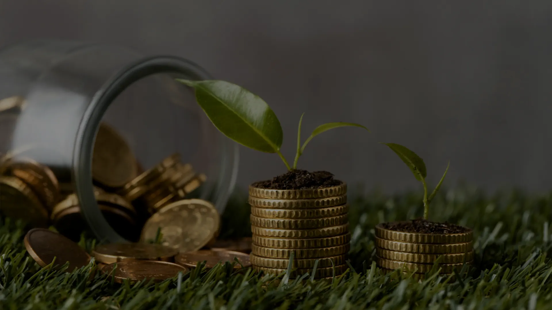 Private Equity and Venture Capital